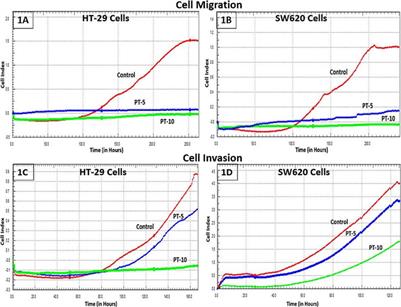 The platinum coordination complex inhibits cell invasion-migration and epithelial-to-mesenchymal transition by altering the TGF-β-SMAD pathway in colorectal cancer